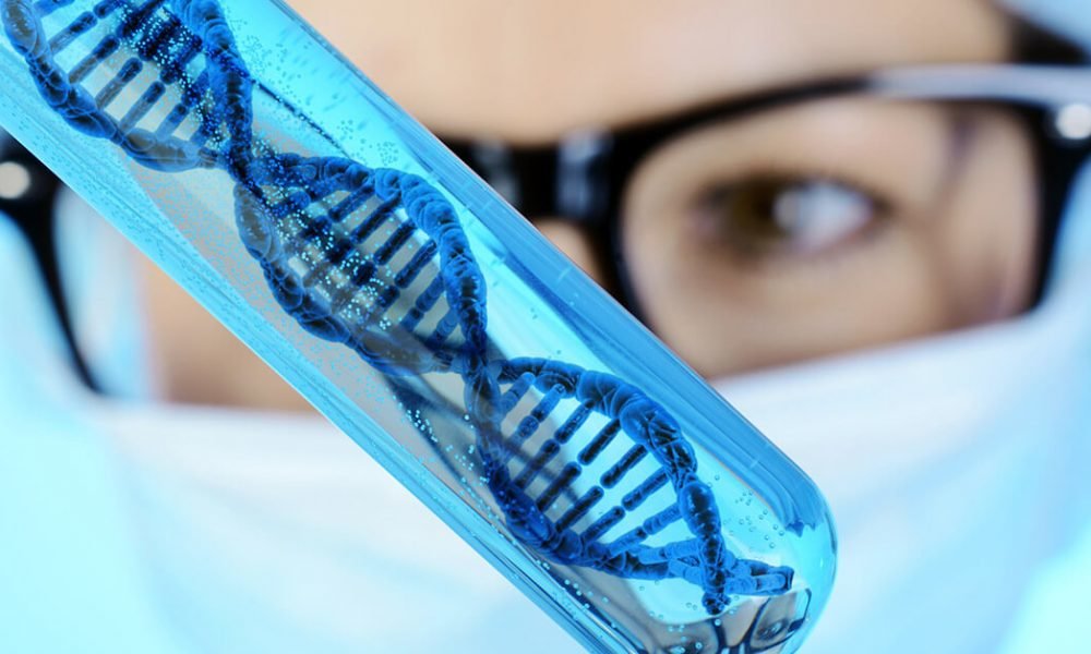 DNA May Be A Determinant Of Human Genetic Makeup Says New Research 