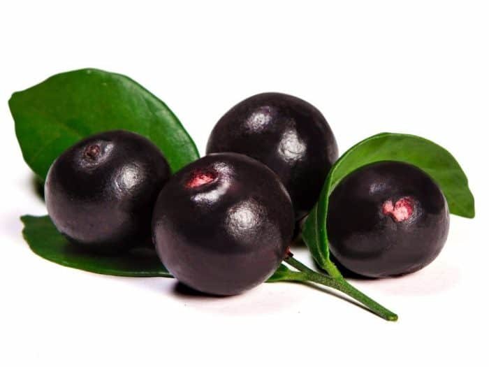 Reap the Health Benefits of Acai Berry